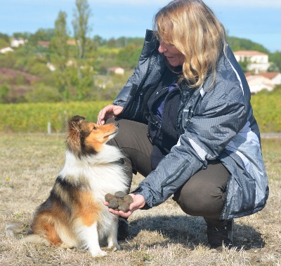 De La Vallée Des Foultier - Premier concours de cavage pour Miel